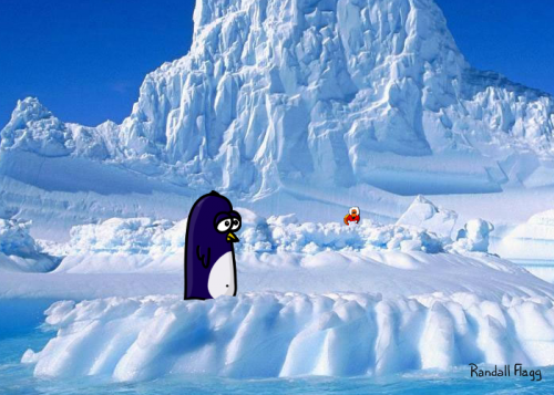 Pingouin Pingouin