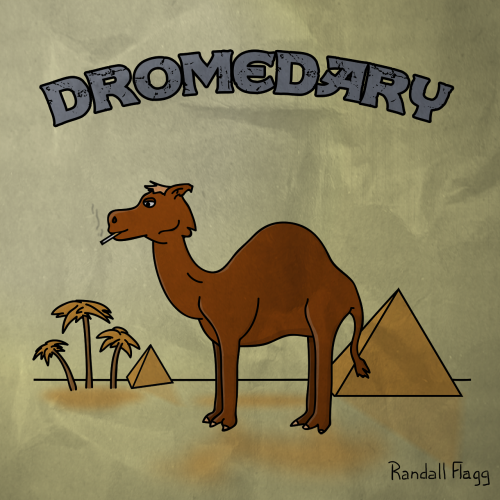 dromadaire dromadaire