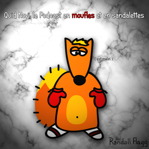 QN11-Moufle